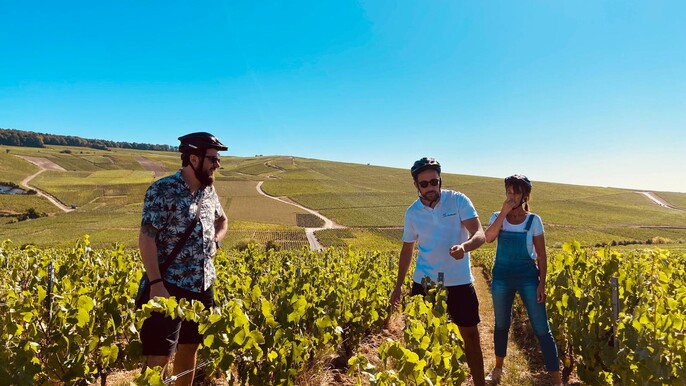 From Beaune: Full day Ebike Burgundy tour, tasings & lunch