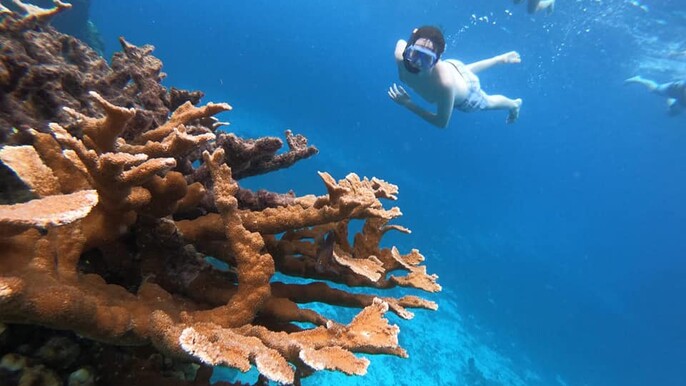 Cozumel Private Snorkeling, Fishing, and El Cielo Sandbar Adventure