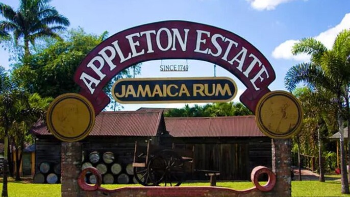 Appleton Estate, Black River Safari & YS Falls – south coast full‑day featuring rum estate, safari and waterfall from Montego Bay Area