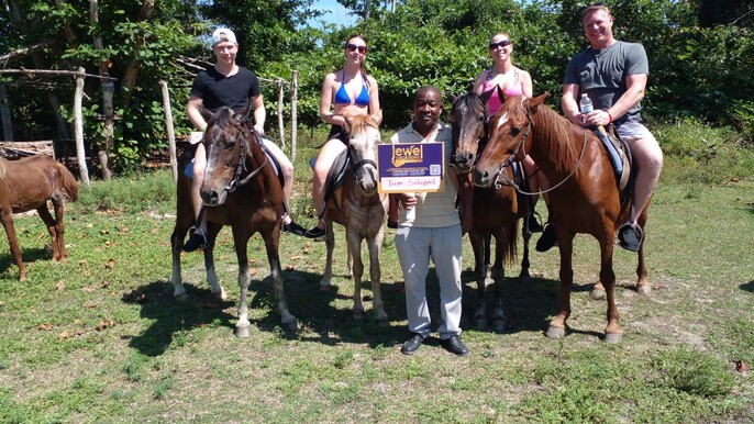 Falmouth Horseback Riding on the Ocean from Montego Bay Area