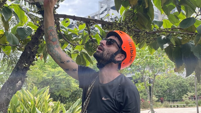 SECRET GARDENS OF MEDELLÍN