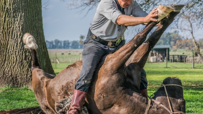 Dia Gaucho - Traditional Argentinean Estancia in the outskirts of Buenos Aires