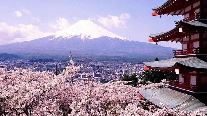 Mt Fuji and Izu Deep View 2 Day Tour from Tokyo