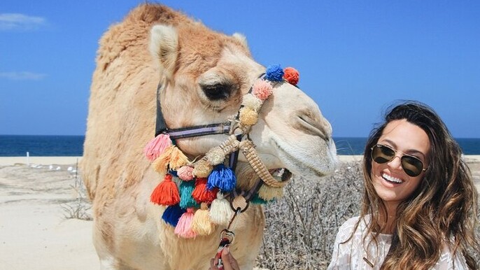 Camel Safari and Tequila Tasting on Pacific Beach