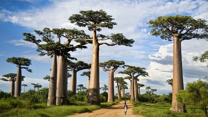 2-Day Adventure to Tarangire and Ngorongoro
