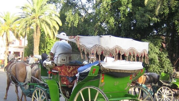 Marrakech City Tour with Majorelle Garden, Menara & Caleche Ride