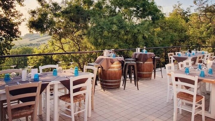 Explore the Richness of Marche Wine Flavors