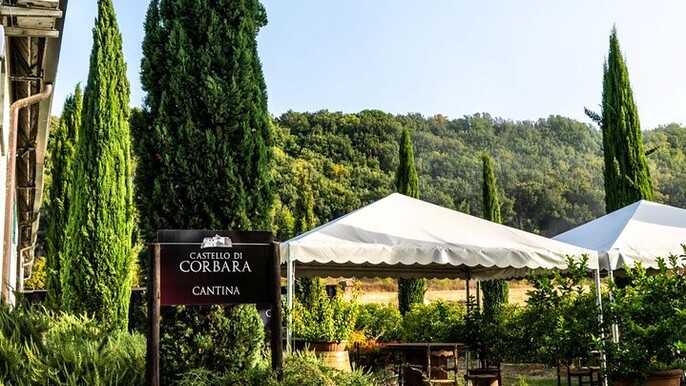 Taste the Wines of Corbara Exploring the Flavors of Umbria