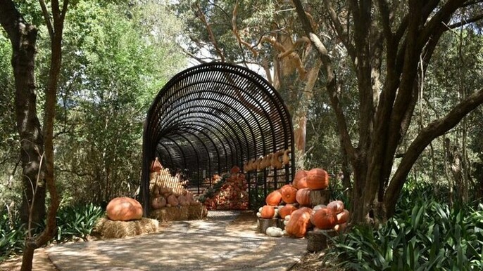Full Day Stellenbosch Winelands Private Tour from Cape Town