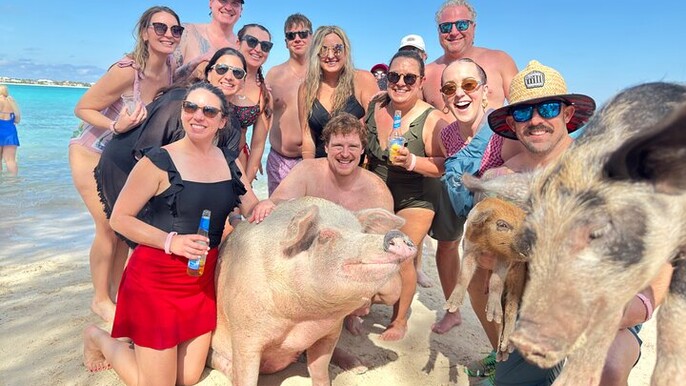 4-Island Tour Swimming Pigs, turtles, snorkeling , rose island,