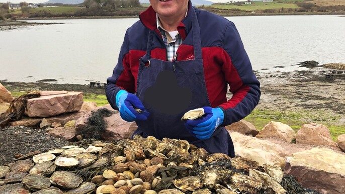 Private Oyster Farm tour & tasting. Mayo. Guided