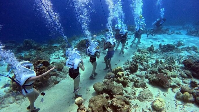 Curacao Sea Trek Snuba Combo Walk Tour and Dive the Ocean