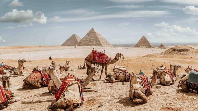 Explore pyramid half day tour