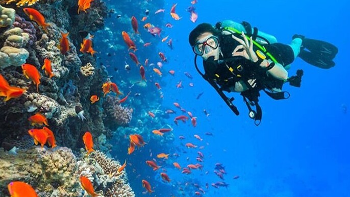 White Island & Ras Mohamed Boat Trip & Diving , lunch from Sharm