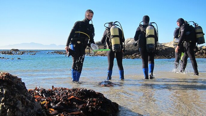 1-Hour Beach Diving Experience with Transfer from Sharm El Sheikh