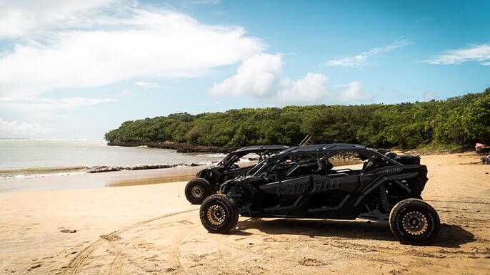 Discover Puerto Rico Like a Local 4 Hour Private Beach Escape