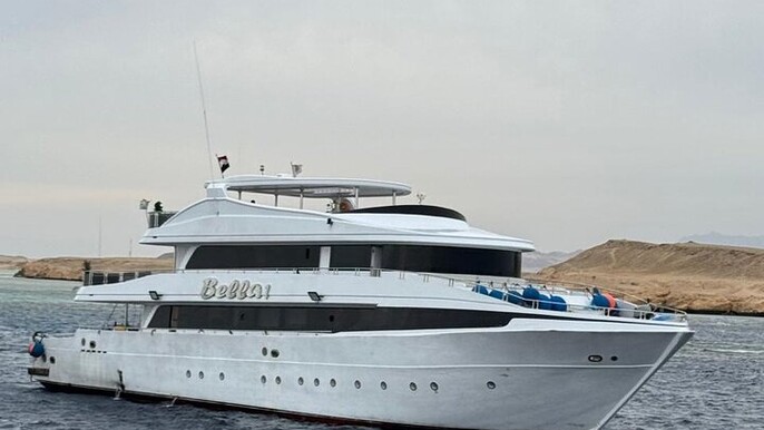 Marsa Alam: Snorkel with Sea Cows and Turtles at Marsa Mubarak