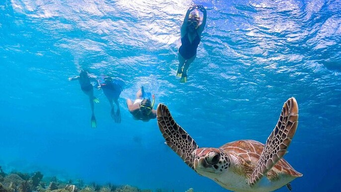 Abu Dabab Semi-Private Trip with tickets & lunch from Hurghada
