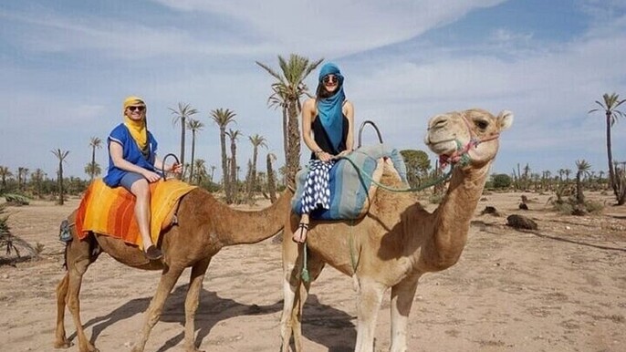 Palmeraie Palm Grove Camel Ride one hour & Transfer - Marrakesh