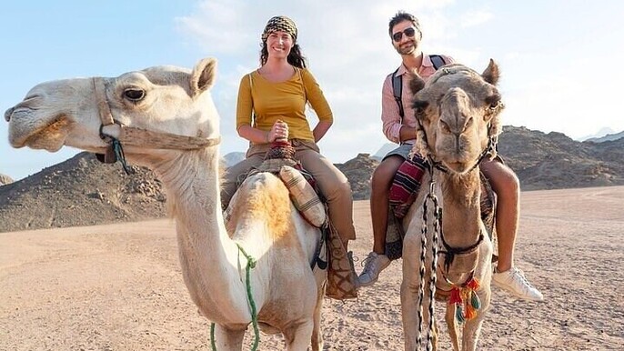 Camel Ride 2 hours the Palmeraie Grove With Transfer - Marrakesh