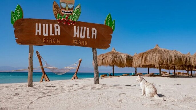 Hula Hula Paradise Island Sea Trip with One Stop Diving _Hurghada