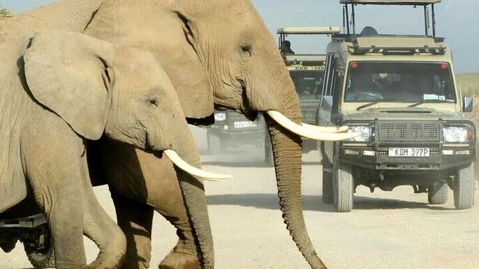 4 Days Lake Nakuru and Masai Mara Lodge Safari on 4WD Jeep