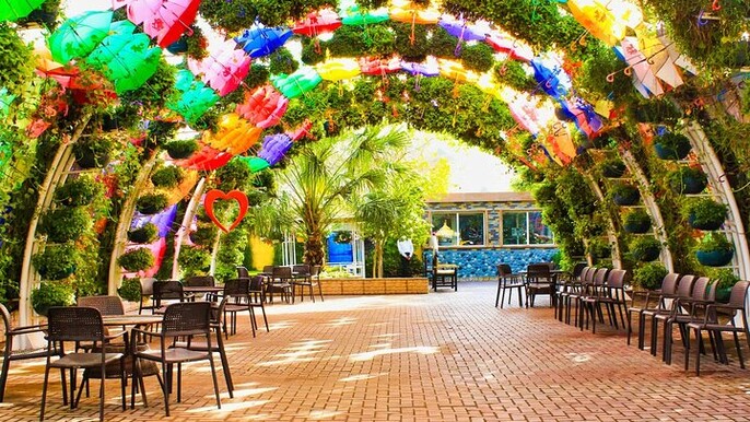 Dubai Butterfly Garden Entry Ticket