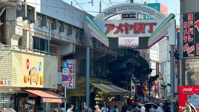 Ueno Park and Ameyoko Street Food Market Half Day Walking Tour
