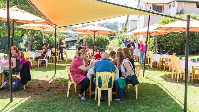 Kiambethu Tea Farm Tour and Lunch From Nairobi