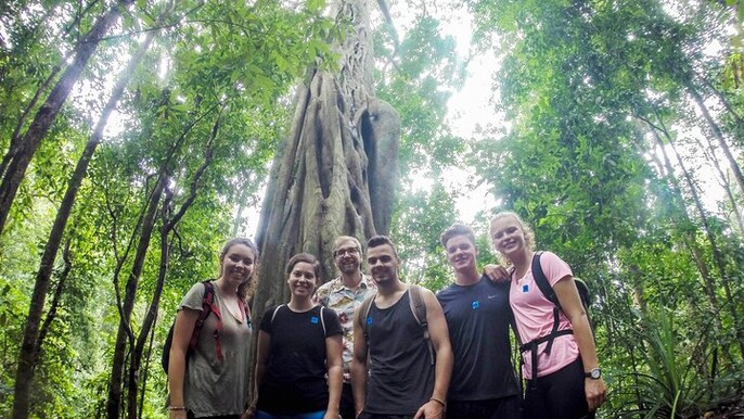 Chiang Mai 7-Hour Doi Suthep National Park Summit Hiking