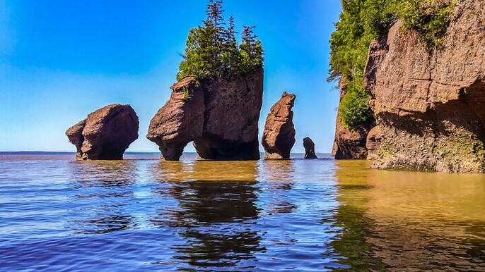 Hopewell Rocks Bay of Fundy Tour