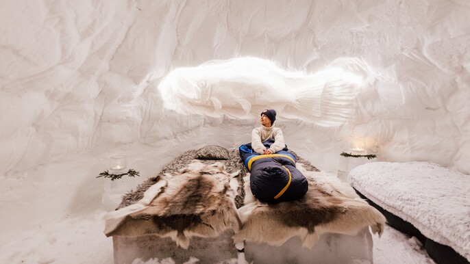 Exotic night in a snow igloo