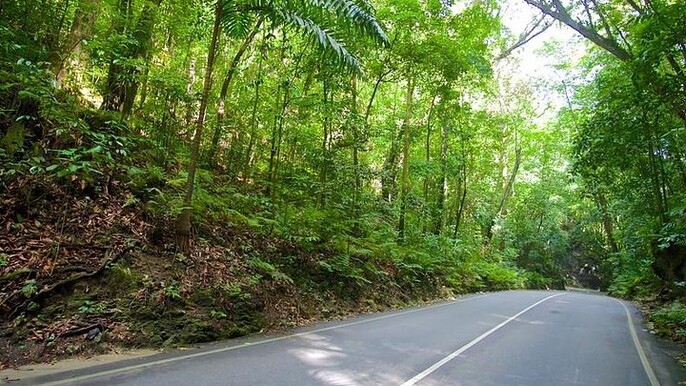 Ocho Rios Highlight Tour with River Tubing or Rafting