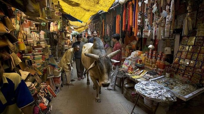 Varanasi Spiritual Walk: Explore Temples, Ghats & Sacred Sites