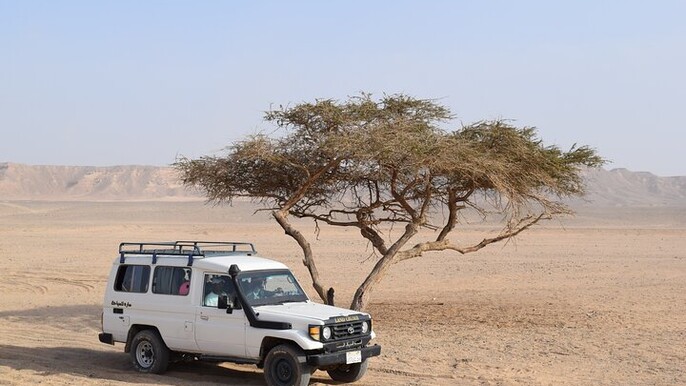 Mega Jeep Safari, Quad, Camel, Dinner and Party in Marsa Alam
