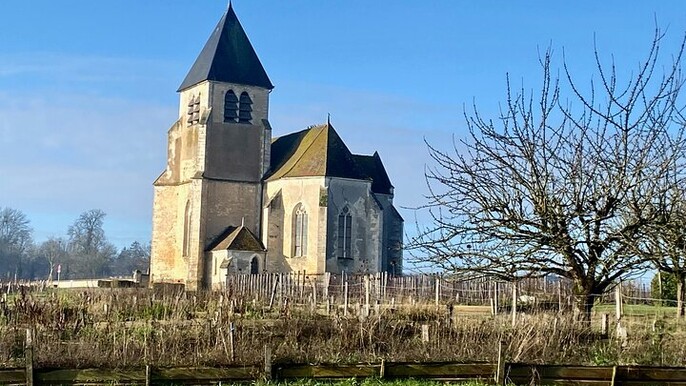Private Burgundy 3 Domaines Chateau Pommard Chablis 15 Wines Trip
