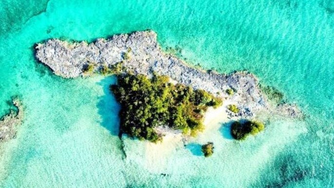 Island Life Escape Kayak, Snorkeling, Tropical Drinks, Beach