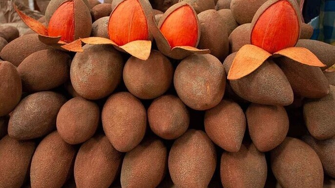 Mexico's Tropical Fruit Guided Tasting in Monterrey