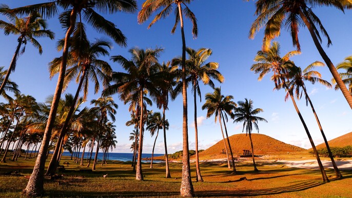 The route of the Moai - Group Tour