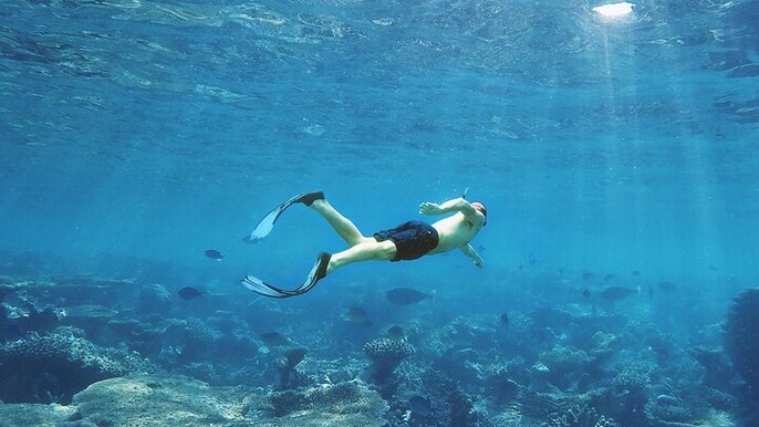 Half day Cancun Snorkeling Adventure at Puerto Morelos Reef