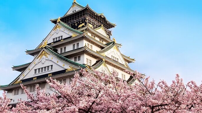 Osaka Castle Entry Ticket