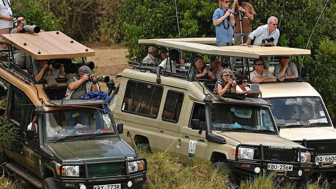5 Day Comfort Wildlife Safari in Kenya National Parks