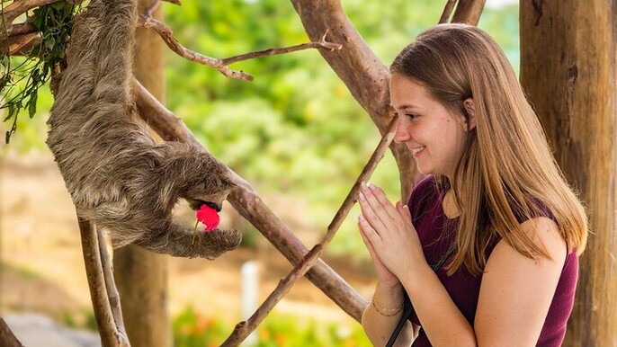 Roatan Private Tour: Shopping, Sightseeing and Beach Tour