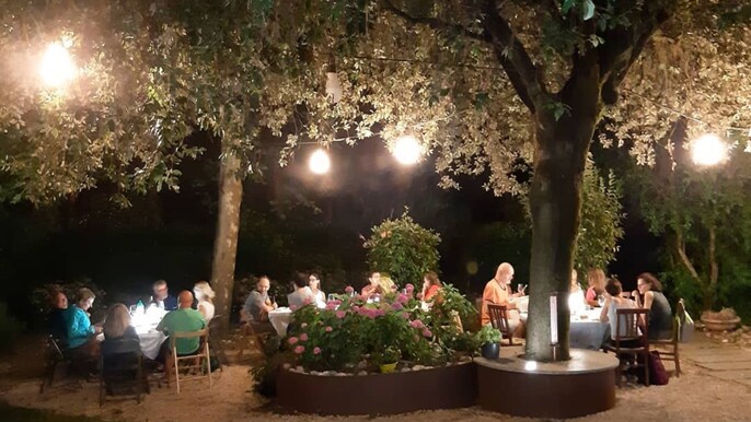 Organic Winery Visit with Wine & Food Tasting near Bologna