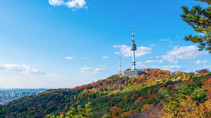 N Seoul Observation Tower Entry Ticket