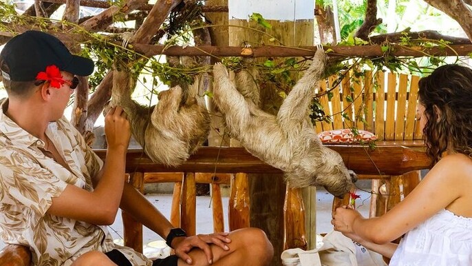Half-Day Zip Line Combo: Beaches and Wildlife Encounter in roatan