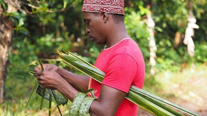 Jozani Forest, Stone Town & Spice Market Tour Full Day - Zanzibar