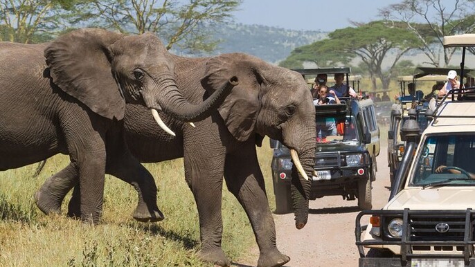 Nairobi's Wilderness for a 5 Day Tour Experience