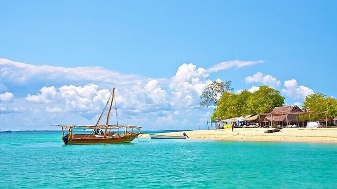 Safari Blue Zanzibar & Menai Bay Fascinating day Sea Trip With Lunch - Zanzibar