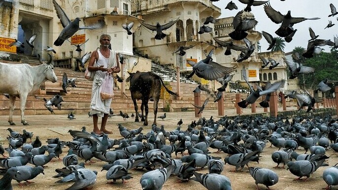 Visit Pushkar with Jaipur Drop from Bikaner